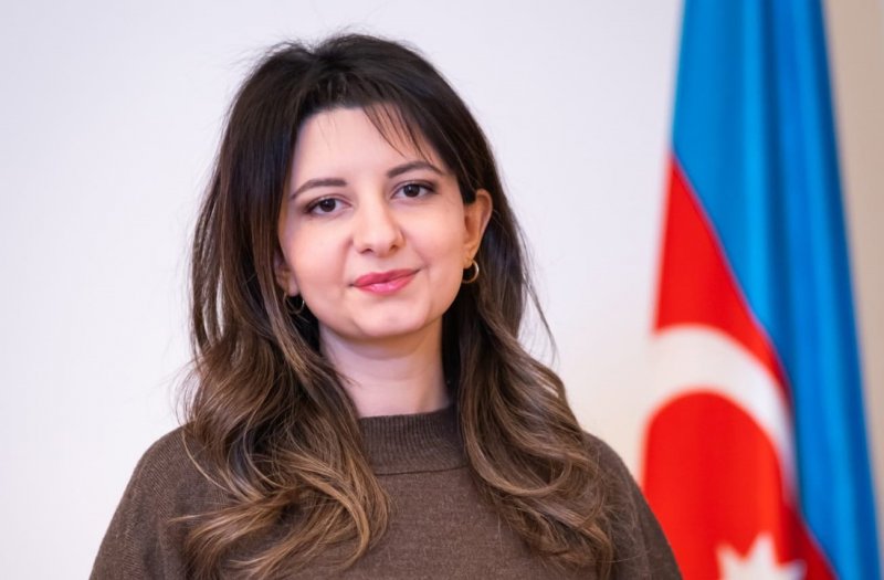 News about -  Strategic alliances and digitalization: Inside SOCAR's new energy era - EXPERT OPINIONS 