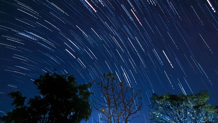 Lyrid meteor shower to light up the sky in mid-to-late April