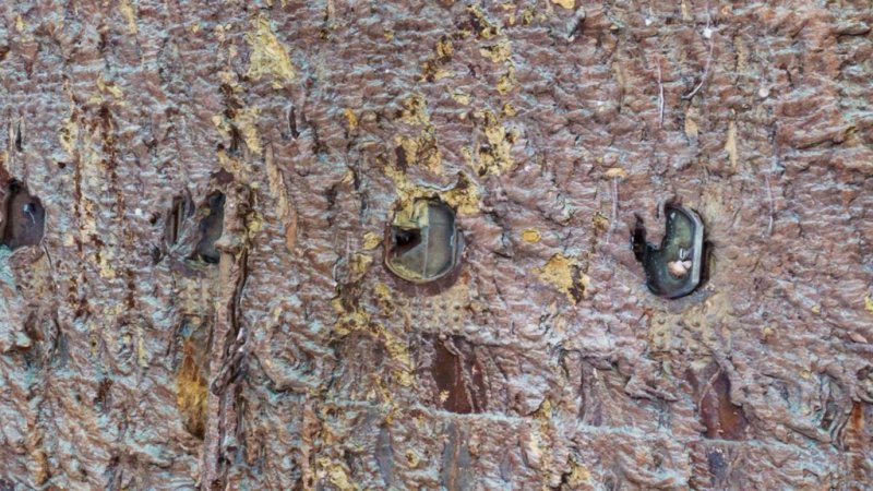 News about - New Titanic scan reveals insights into the ship's final hours 