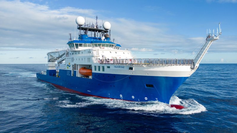 2025/04/2-1744798559.jpg + Colossal squid filmed in natural habitat for first time - PHOTO News about - Colossal squid filmed in natural habitat for first time - PHOTO