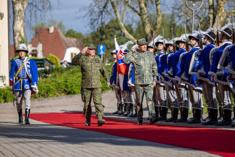2025/04/17448-3489636670.jpg + Azerbaijan, Slovakia explore military cooperation News about - Azerbaijan, Slovakia explore military cooperation