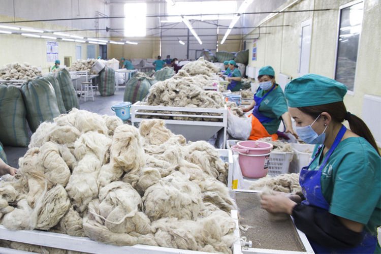 Mongolia's combed cashmere exports decrease by 55 pct in Q1 
