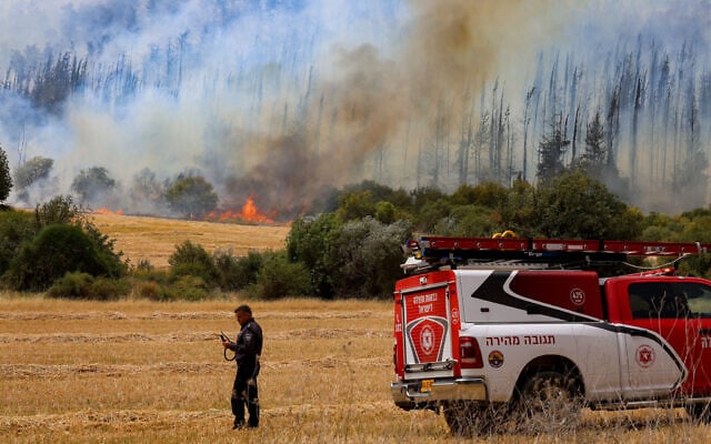 Israel deploys troops to combat wildfires near Jerusalem  VIDEO 