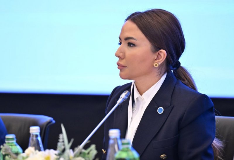 Azerbaijan supports active participation of local NGOs in int’l projects, says official