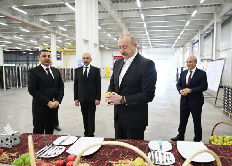 News about - Azerbaijan's president inspects operations of horticulture and cold storage complex in Gusar
