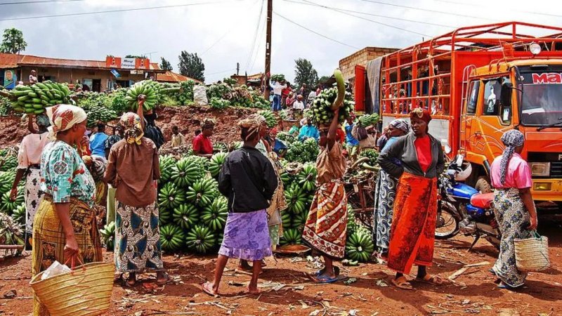 Tanzania bans South Africa and Malawi imports as trade row escalates 