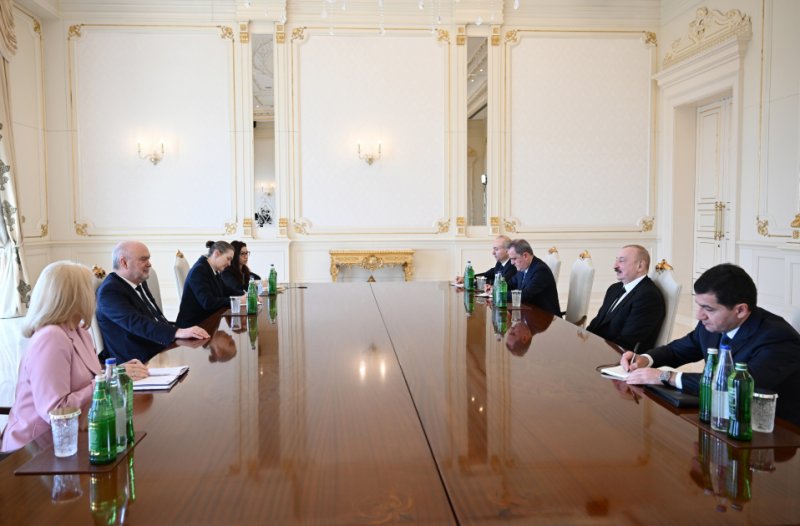 Azerbaijan's president receives OSCE secretary general
