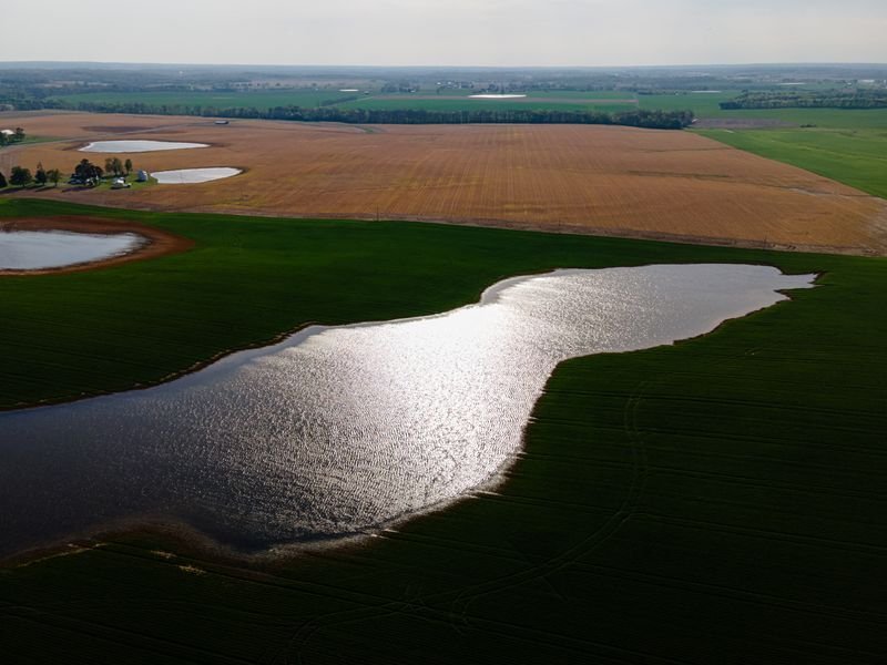 Kentucky farmers hit by one-two punch of trade war, historic floods 