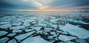 Arctic Sea ice decline hits historic low in March