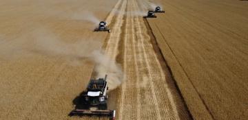 BRICS nations back Russian proposal for grain exchange platform