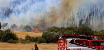 Israel deploys troops to combat wildfires near Jerusalem  VIDEO 