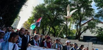 Moroccans protest Maersk ship with F-35 parts for Israel 