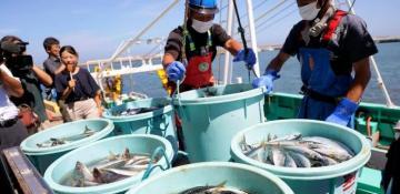 China and Japan hold talks over seafood import ban 