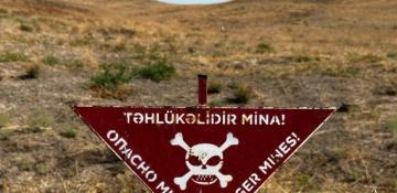 UN acknowledges urgency of Azerbaijan's fight against landmines 