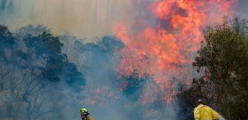 Communities evacuated as large brushfires burn near Jerusalem 