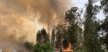 Fires in Israel force evacuations, drivers flee cars 