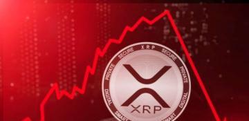 Is XRP price going to crash again?  Read then buy! 
