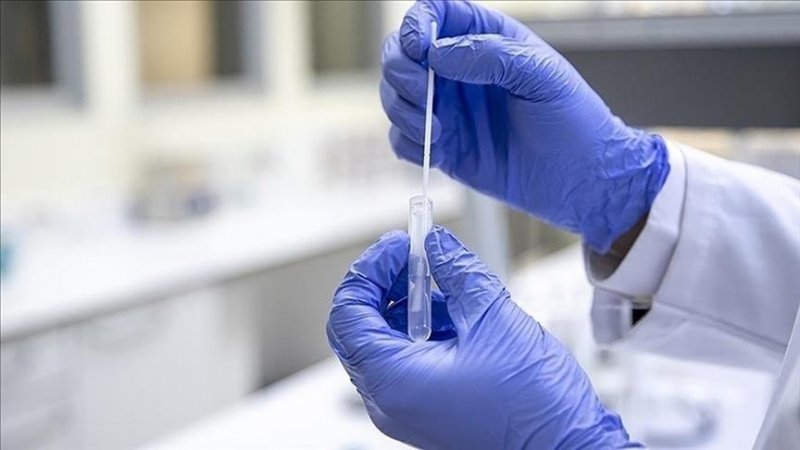 White House website blames China for COVID-19 'lab leak' 