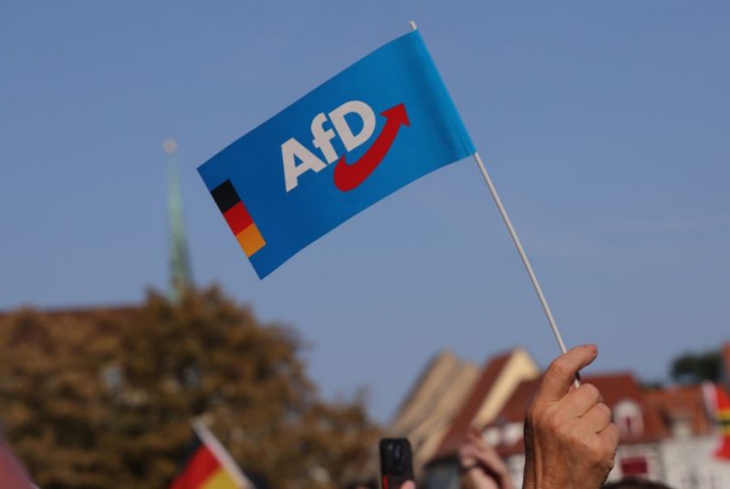 German intelligence agency designates AfD as rightwing extremist