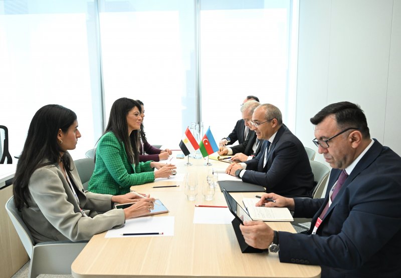 Azerbaijan, Egypt explore opportunities to enhance joint activities in trade, energy 