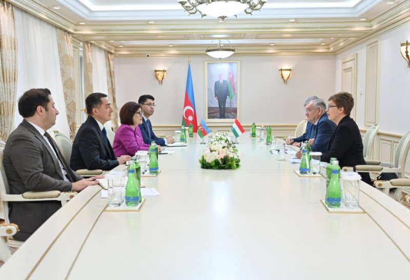 Azerbaijan, Hungary discuss strengthening interparliamentary relations 