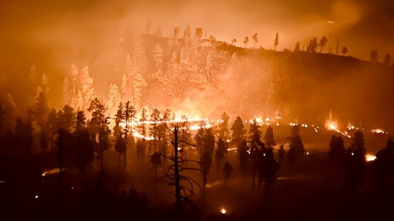 Arizona wildfires burn over 8,000 hectares as authorities issue 'red flag' warning