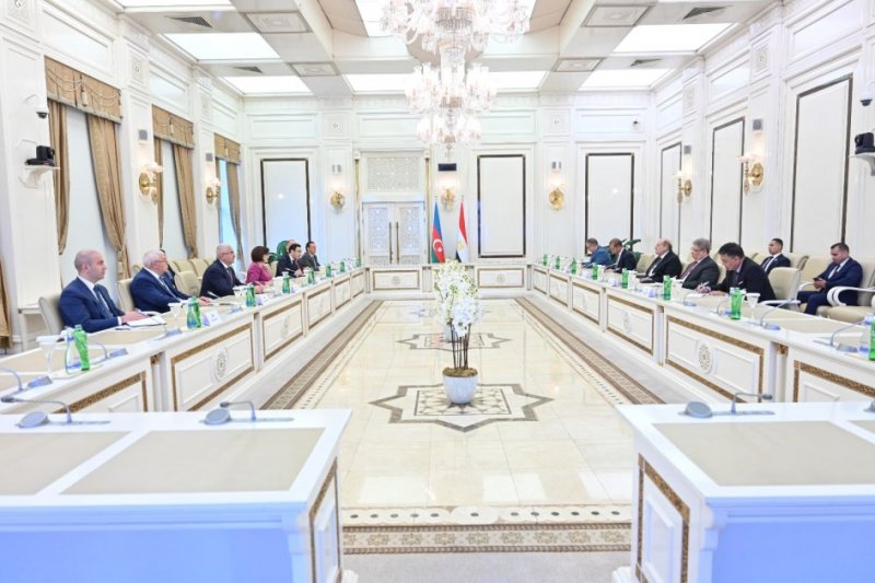 Azerbaijan and Egypt discuss boosting interparliamentary cooperation 