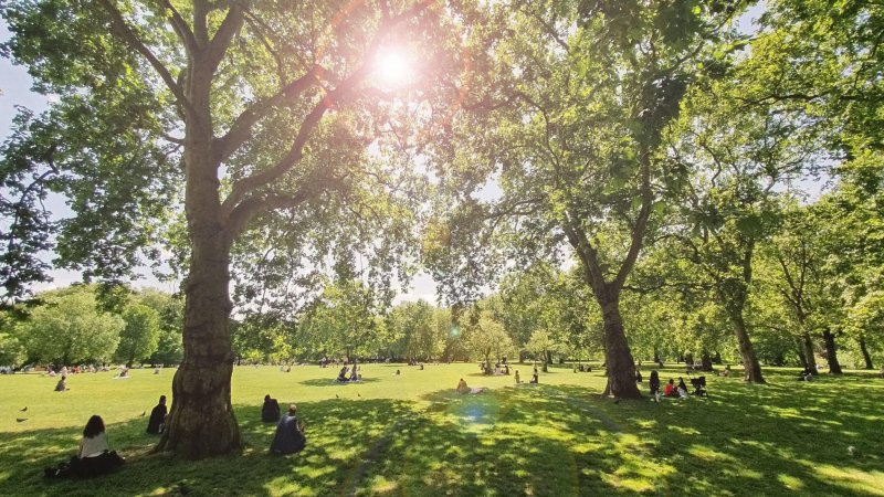 UK records sunniest spring in over a century