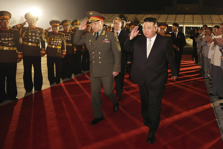 Russia, North Korea develop ties, as their soldiers fight together — Shoigu 