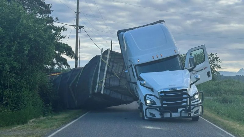 250 million bees escape after truck overturns in US