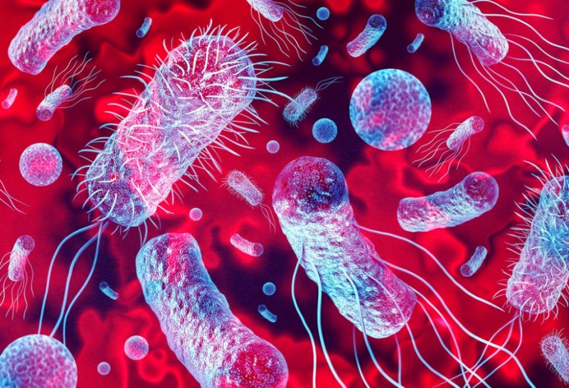 At least 10 hospitalized in US amid listeria outbreak