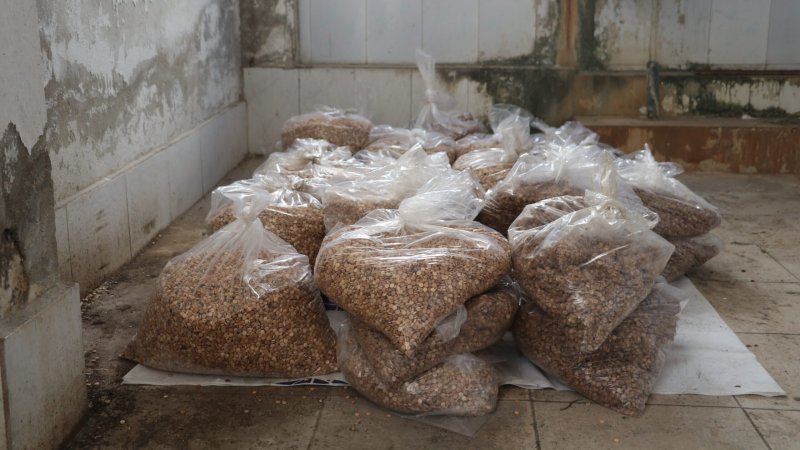 Syria seizes over 9 mln Captagon pills in joint operation with Türkiye 