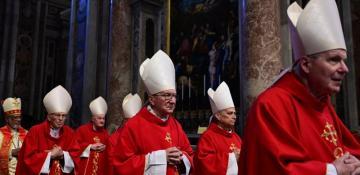 Cardinals gather in Vatican to elect new pope 