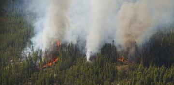 Wildfire in central Canada leaves two dead, forces mass evacuations  -VIDEO 