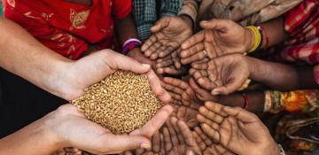 Global food insecurity reached new high in 2024, with 295 million affected: UN