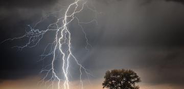 Lightning strikes leave 14 dead in eastern India 