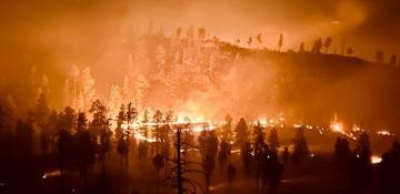 Arizona wildfires burn over 8,000 hectares as authorities issue 'red flag' warning