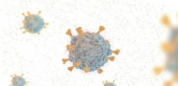 New COVID-19 variant spreads globally, says WHO