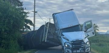 250 million bees escape after truck overturns in US