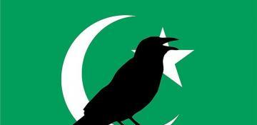  Pakistan's strategic response to aggression: Call for peace, sovereignty, and dialogue 