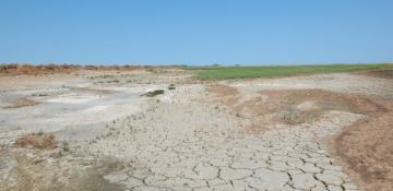  Caspian crisis: Kazakhstan urges action as sea shrinks rapidly 