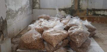 Syria seizes over 9 mln Captagon pills in joint operation with Türkiye 