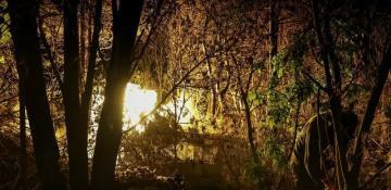 Russia says it captures 3 more settlements in east Ukraine 