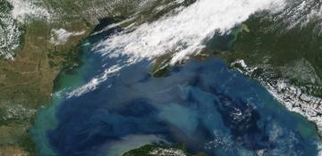 Geoengineers consider ocean 'dead zones' for carbon storage 