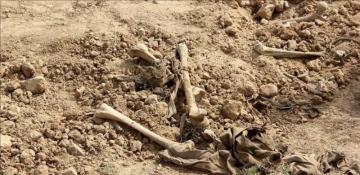 Mass graves discovered in Khartoum State of Sudan, army says 