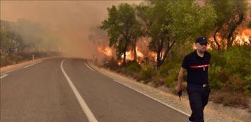 Morocco fights Tangier wildfires for 4th day 