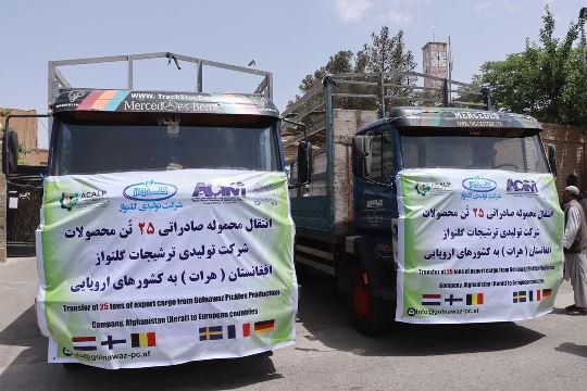 Afghanistan exports 25 tons of pickles to Europe 