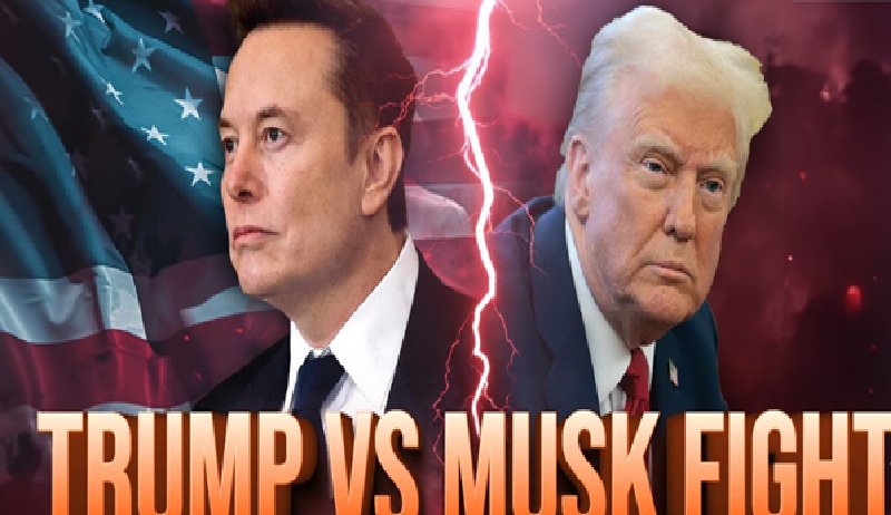 6 best altcoins to buy now after the Trump–Musk crypto clash – which token will dominate from the fallout?