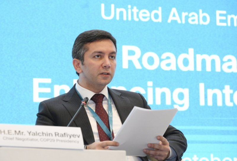 Japan’s Nikkei publishes interview with COP29 Lead Negotiator Yalchin Rafiyev 