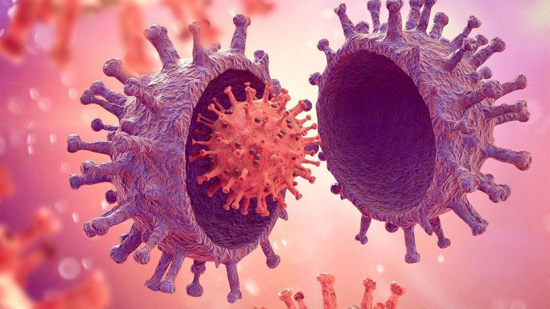 Global spread of new COVID variant NB.1.8.1 sparks concern